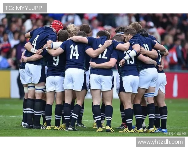 爱尔兰与芬兰激战正酣比赛直播全程回顾与精彩瞬间分析